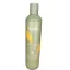 Echosline Ki-power vegán sampon 300ml